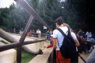 Tomáško in ZOO (June 2002) Tomáško in ZOO (June 2002)